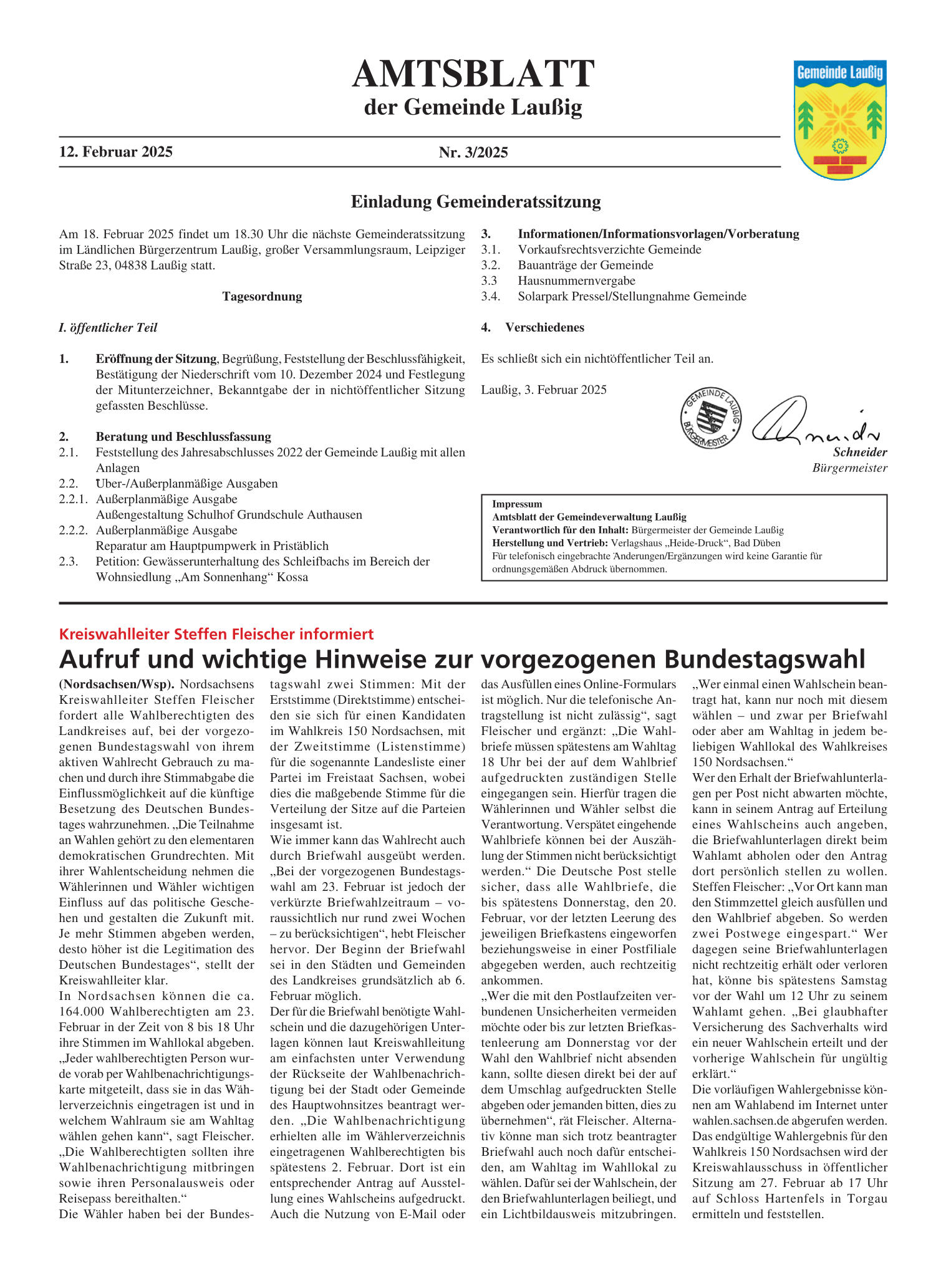 Amtsblatt Nr. 03/2025 vom 12.02.2025 Seite 1