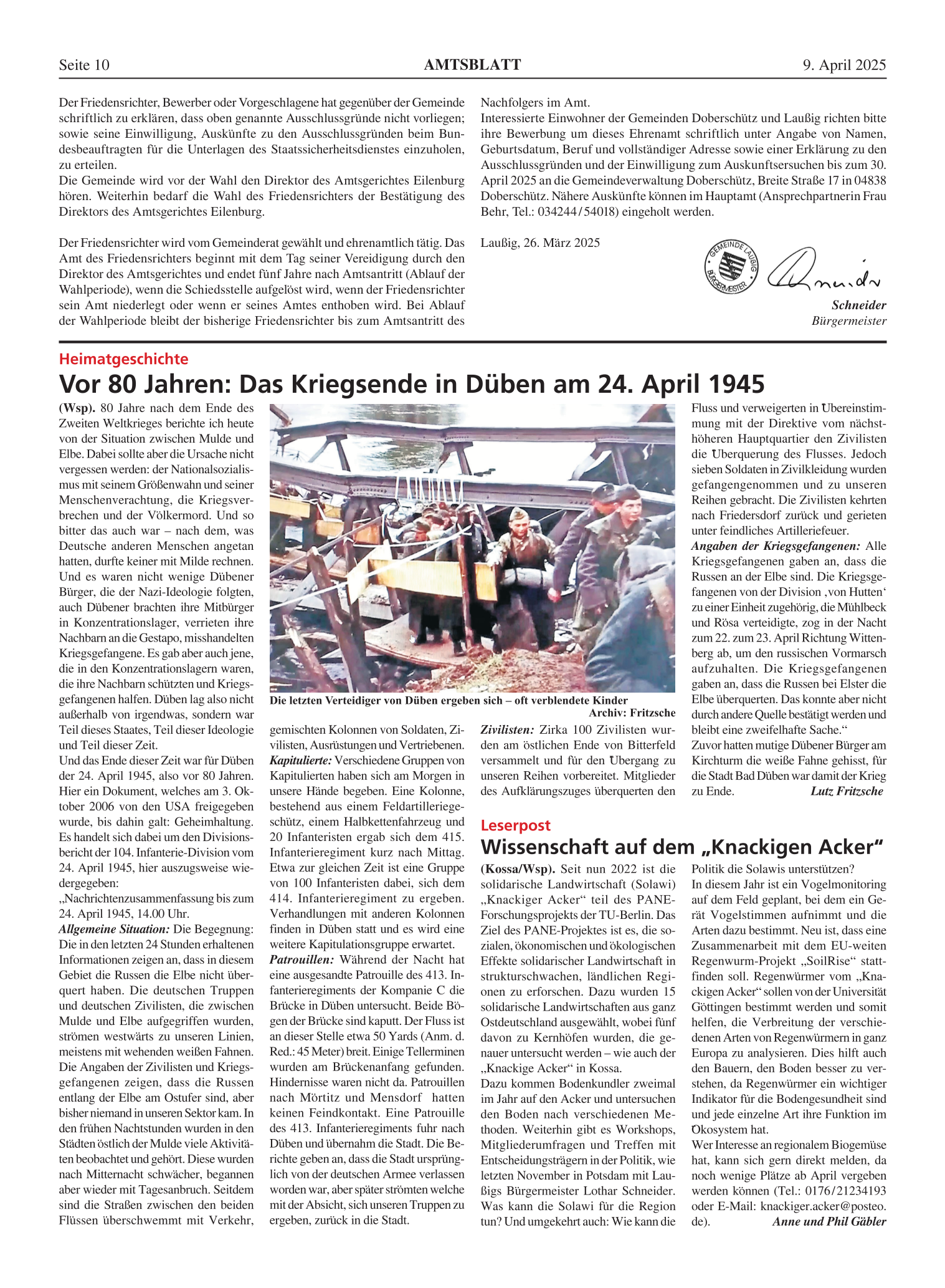Amtsblatt Nr. 06/2025 vom 09.04.2025 Seite 2